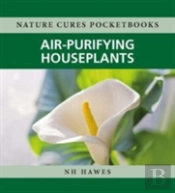 Air-Purifying Houseplants
