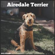 Airedale Terrier 2022 Calendar