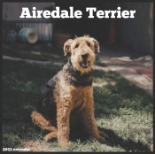 Airedale Terrier 2022 Calendar
