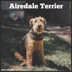 Bertrand.pt - Airedale Terrier 2022 Calendar