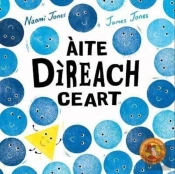 Aite Direach Ceart