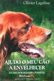 Ajudo o Meu Cão a Envelhecer da Melhor Maneira Possível