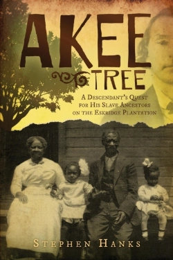 Bertrand.pt - Akee Tree