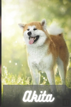 Bertrand.pt - Akita