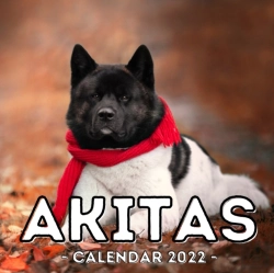 Bertrand.pt - Akitas Calendar 2022