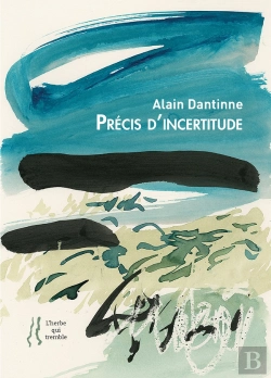 Bertrand.pt - Alain Dantinne : Precis D'Incertitude