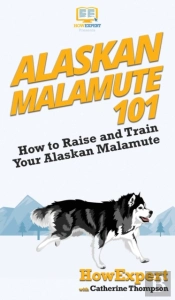 Alaskan Malamute 101