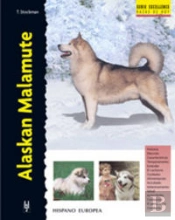 Alaskan Malamute