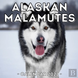 Bertrand.pt - Alaskan Malamutes Calendar 2022