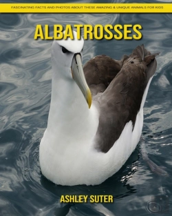 Bertrand.pt - Albatrosses
