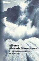 Alberto Abecasis Manzanares E a Engenharia Hidráulica em Portugal