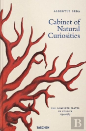 Albertus Seba. Cabinet of Natural Curiosities