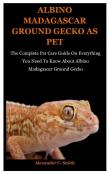 Albino Madagascar Ground Gecko As Pet