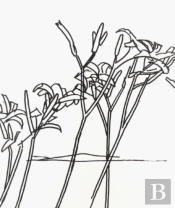 Alex Katz & Robert Creeley: Edges