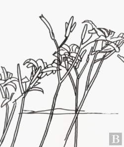 Bertrand.pt - Alex Katz & Robert Creeley: Edges