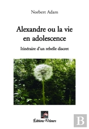 Alexandre Ou La Vie En Adolescence ; Itinéraire D'Un Rebelle Discret
