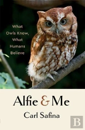 Alfie And Me