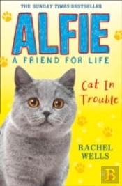 Alfie Cat In Trouble