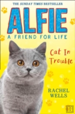 Bertrand.pt - Alfie Cat In Trouble
