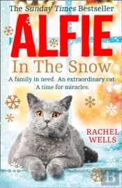 Alfie In The Snow