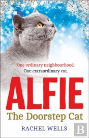 Alfie The Doorstep Cat
