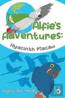 Alfie'S Adventures - Hyacinth Macaw
