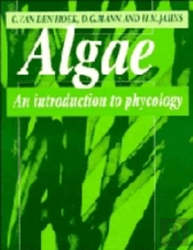 Algae