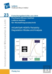 Algan/Gan Hemts Reliability. Degradation Modes And Analysis