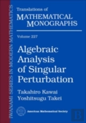 Algebraic Analysis Of Singular Perturbation