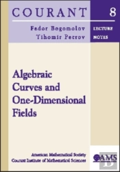 Algebraic Curves And One-Dimensional Fields