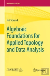 Algebraic Foundations For Applied Topology And Data Analysis