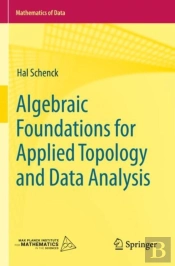 Algebraic Foundations For Applied Topology And Data Analysis