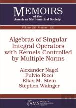 Algebras Of Singular Integral Operators With Kernels Controlled By Multiple Norms
