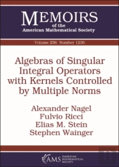 Algebras Of Singular Integral Operators With Kernels Controlled By Multiple Norms