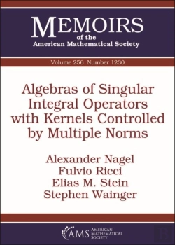 Bertrand.pt - Algebras Of Singular Integral Operators With Kernels Controlled By Multiple Norms