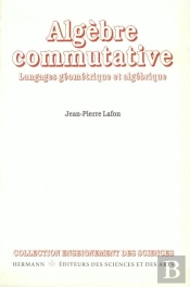 Algèbre Commutative : Langages Géométriques Et Algébriques