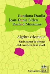 Algèbre Éclectique : Un Bouquet De Thèmes Et D'Exercices Pour Le Master