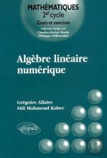 Algèbre Linéaire Numérique - Cours Et Exercices