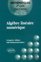 Algèbre Linéaire Numérique - Cours Et Exercices