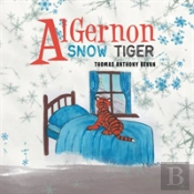 Algernon Snow Tiger
