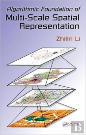 Algorithmic Foundation Of Multi-Scale Spatial Representation