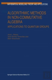 Algorithmic Methods In Non-Commutative Algebra