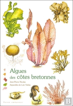 Bertrand.pt - Algues Des Côtes Bretonnes
