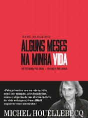 Alguns Meses na Minha Vida