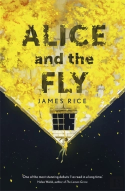 Bertrand.pt - Alice And The Fly