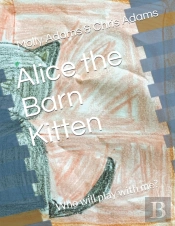 Alice The Barn Kitten