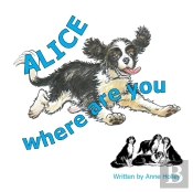 Alice, Where Are You?