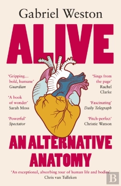 Bertrand.pt - Alive