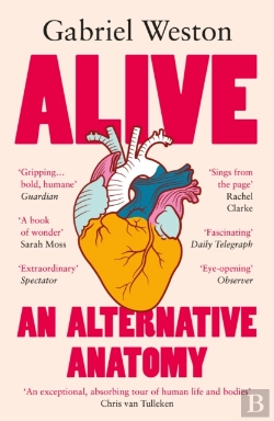Bertrand.pt - Alive