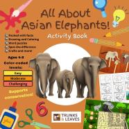 All About Asian Elephants